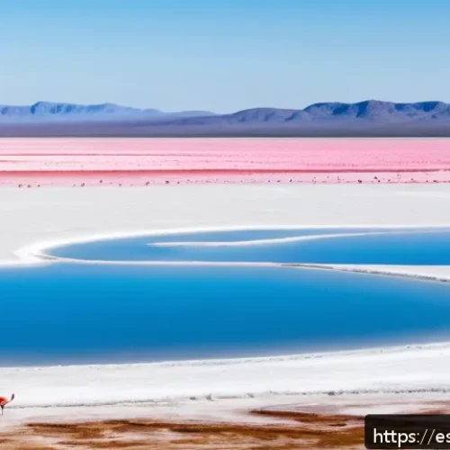 Home 17 보츠와나 마카디카디 염호 여행 가이드 - A vast, white salt flat under a bright blue sky at midday, resembling a lunar landscape, with intens...